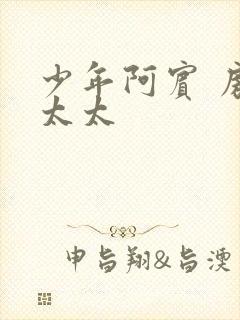 少年阿宾 房东太太