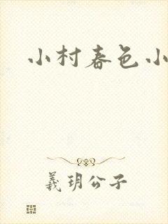 小村春色小说
