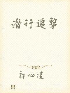 潜行追击封面