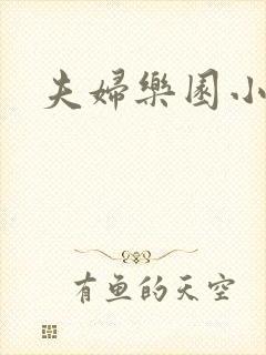 夫妇乐园小说封面