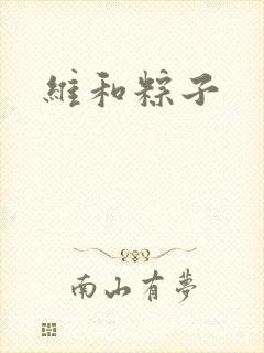 维和粽子