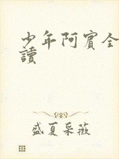 少年阿宾全集阅读封面