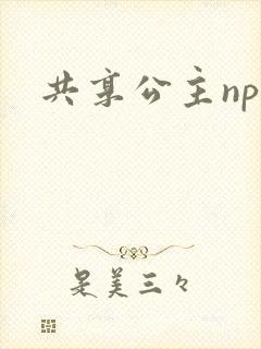 共享公主npc封面