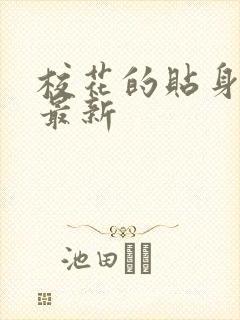 校花的贴身高手最新封面