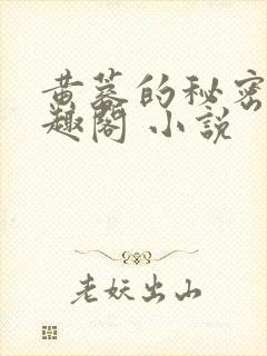 黄蓉的秘密 笔趣阁 小说