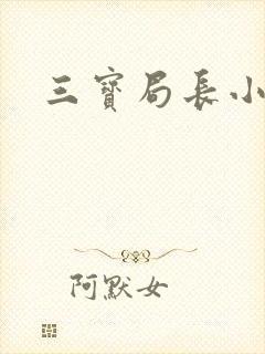 三宝局长小说