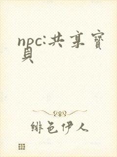 npc:共享宝贝