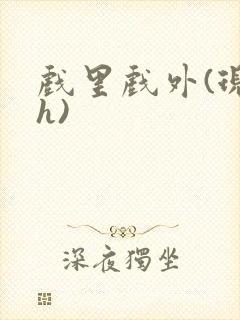 戏里戏外(现场h)