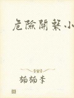 危险关系小说