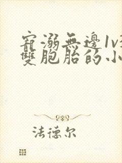 宠溺无边1v3双胞胎的小说