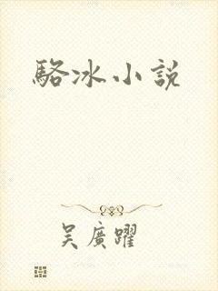 骆冰小说封面