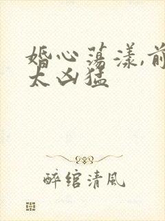 婚心荡漾,前夫太凶猛封面