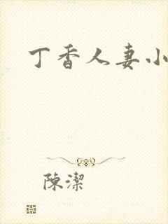 丁香人妻小说封面
