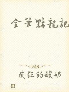 金笔点龙记封面