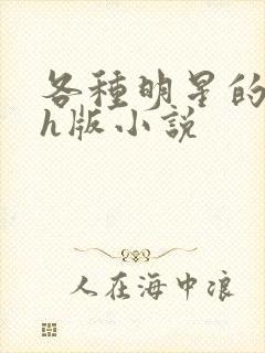 各种明星的综艺h版小说