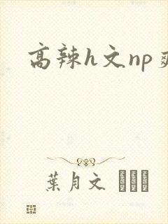 高辣h文np爽