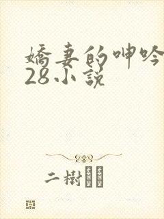娇妻的呻吟1—28小说