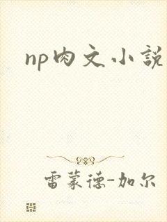 np肉文小说