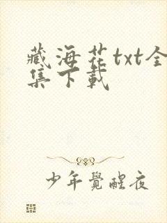 藏海花txt全集下载