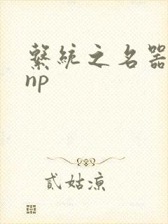 系统之名器攻略np