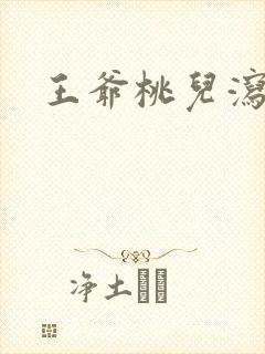 王爷桃儿泻了封面