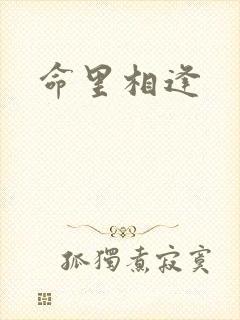 命里相逢