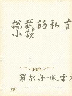 总裁的私有宝贝小说