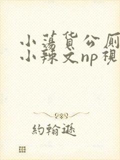 小荡货公厕h文小辣文np视频