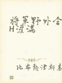将军野外含公主H灌满