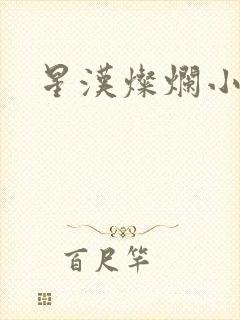 星汉灿烂小说