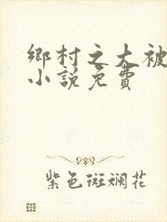 乡村之大被同眠小说免费