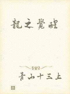 龙之觉醒封面
