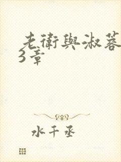 老卫与淑蓉第13章封面