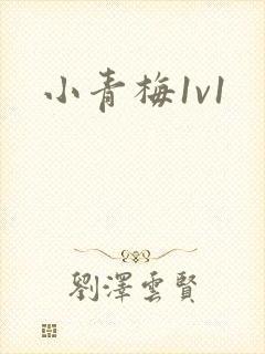 小青梅1v1