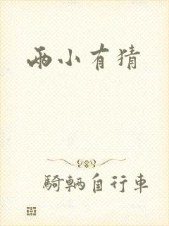 两小有猜封面