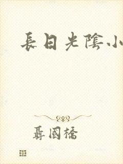 长日光阴小说