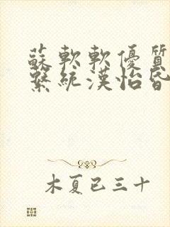 苏软软优质灌溉系统汉怡昏