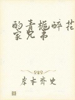 酌青栀醉花阴贺家兄弟封面