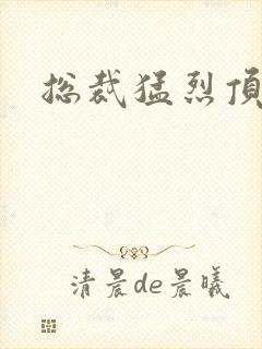 总裁猛烈顶弄h