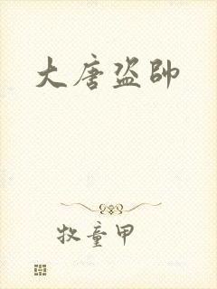 大唐盗帅