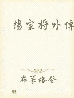 杨家将外传封面