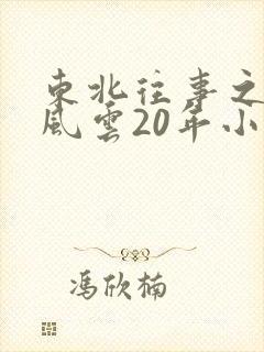 东北往事之黑道风云20年小说封面