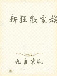 新狂欢家族小说