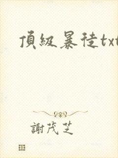 顶级暴徒txt