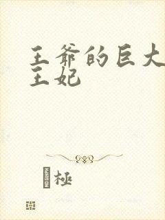 王爷的巨大进入王妃
