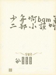 少年啊bgm第二部小说叫什么