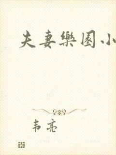 夫妻乐园小说