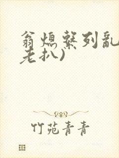 翁熄系列乱 (老扒)