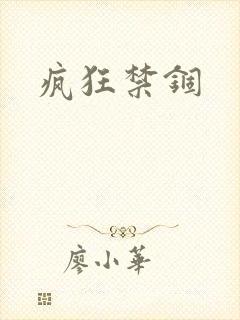 疯狂禁锢封面