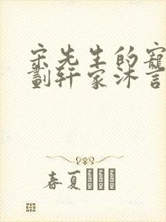 宋先生的宠妻计划轩家沐言